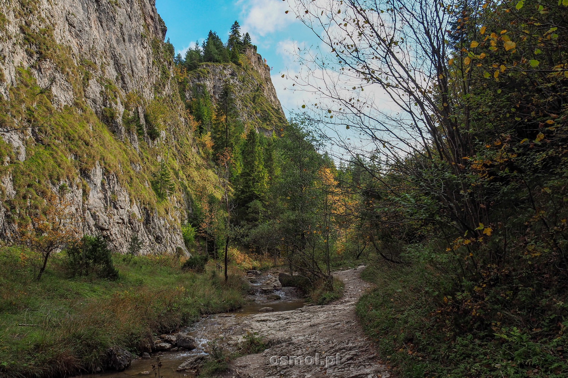 Pieniny - 1 Dniowa Wycieczka Szkolna - obrazek 4