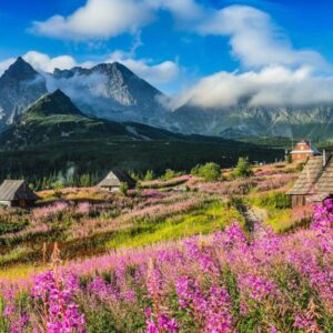 Krynica Zakopane - 2 Dni